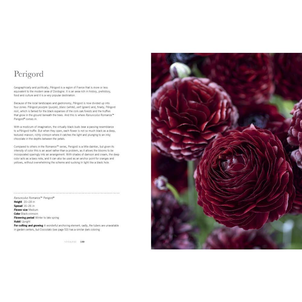 Book in Pink by Jeid Studio