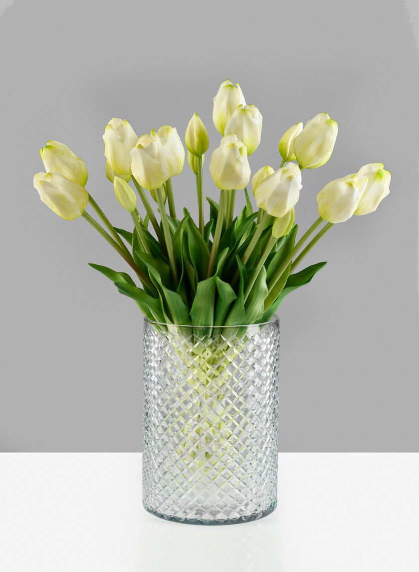 Emily Vase