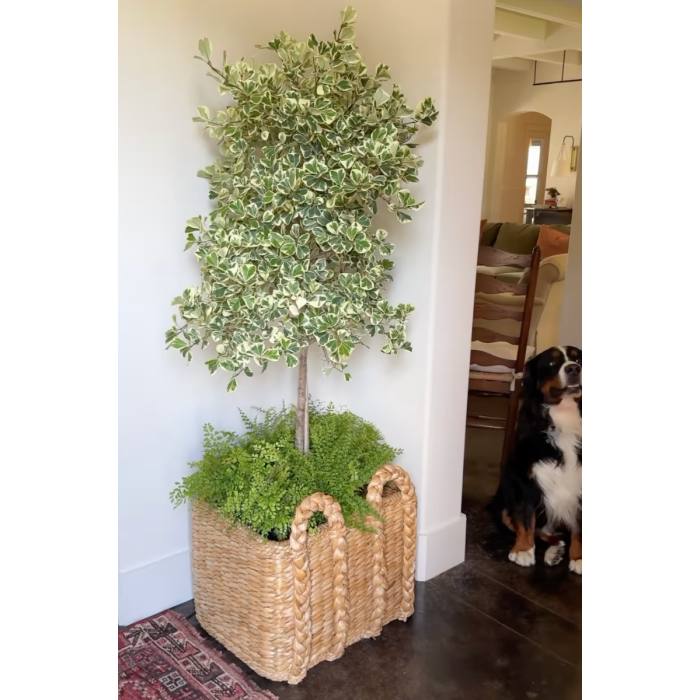 Basket in Natural-Brown by Jeid Studio