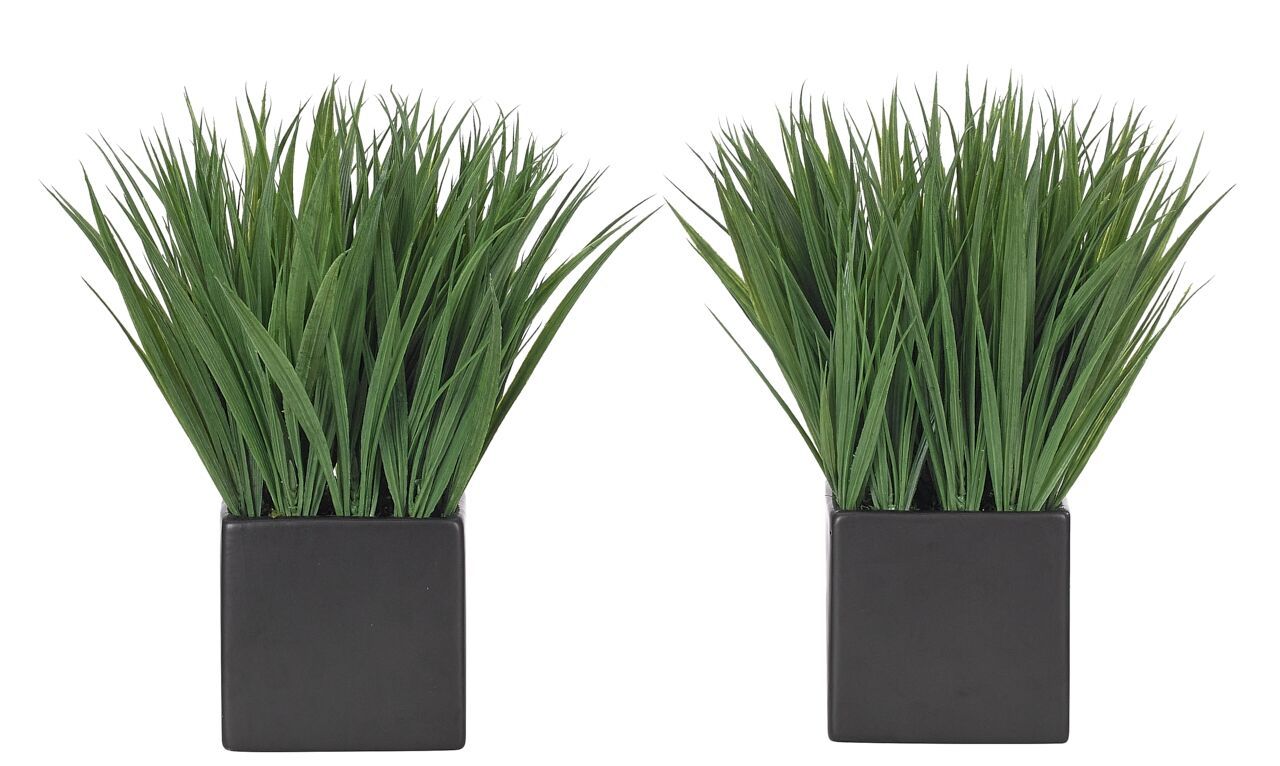 Greenery Set of 2