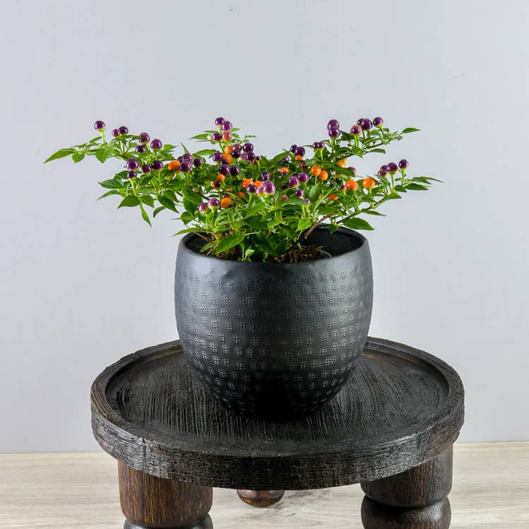 Tray in Natural-Brown by Jeid Studio